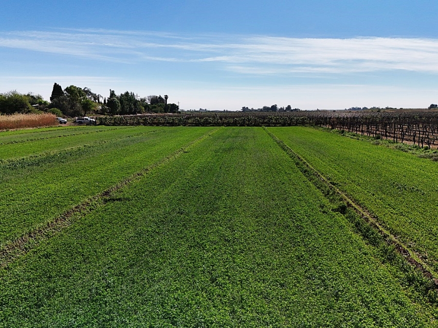 Commercial Property for Sale in Keimoes Rural Northern Cape